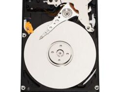 WD800BEVS-RFB  WD800BEVS-08RS