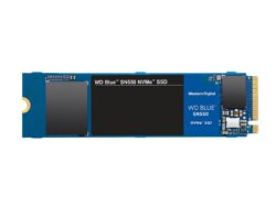 WDS250G2B0C