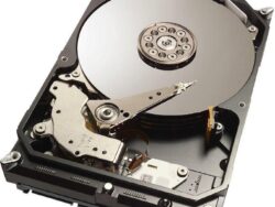 MS-ST31000424SS  ST31000424SS