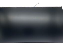 L38485-001