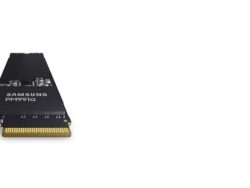 W128290029