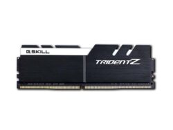 W128303513
