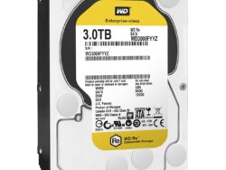 WD3000FYYZ-RFB  836034