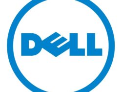 385-BBHP  TNTD0, YRCC2, 0385-BBHP