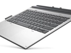 L29965-061