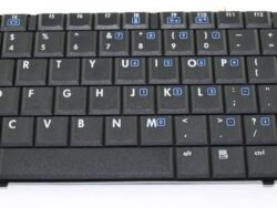 443811-031-RFB