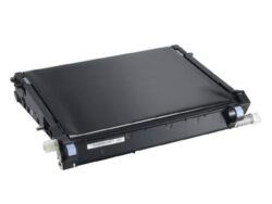 7XDTM  593-BBEL, 07XDTM