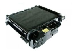 RG5-6484-RFB  RG5-6484