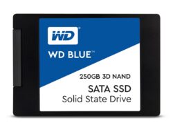 WDS250G2B0A