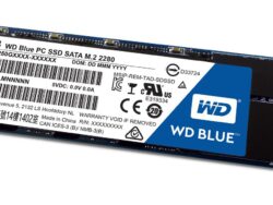 WDS250G1B0B