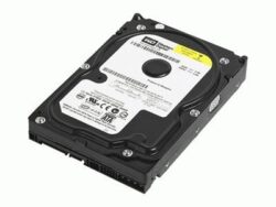 WD800JD-RFB  WD800JD