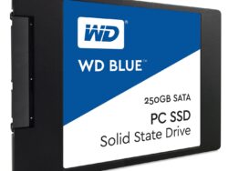 WDS250G1B0A